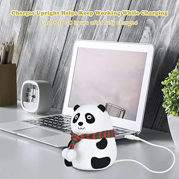 Cute Panda silicon light