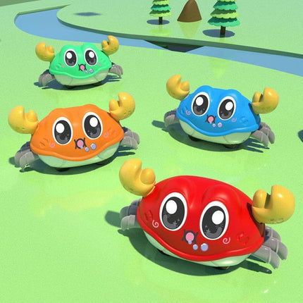 Crab push toy
