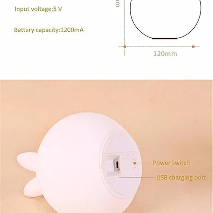 Rabbit Silicon light