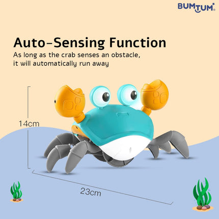 Crawling Crab