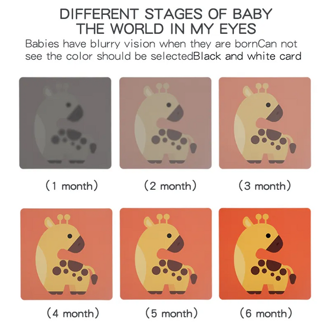 Baby Vision Trigger Cards - 0-3 Month