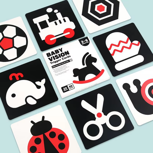Baby Vision Trigger Cards - 3-6 Month