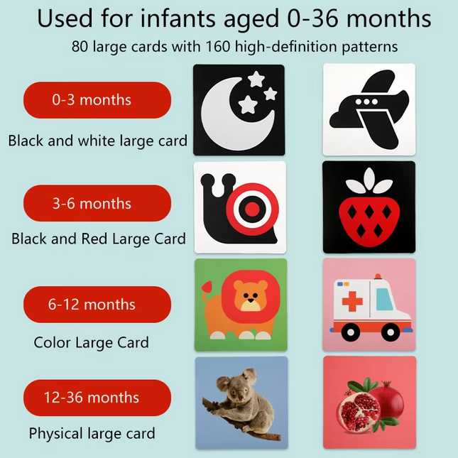Baby Vision Trigger Cards - 12-36 Month