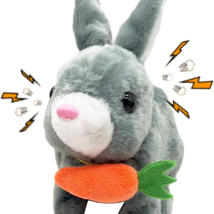 Cute Rabbit Soft Toy with carrot