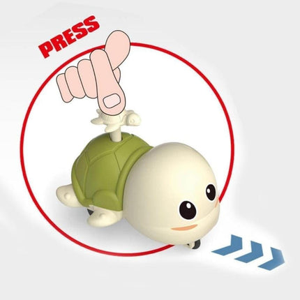 Tortoise Press n Go
