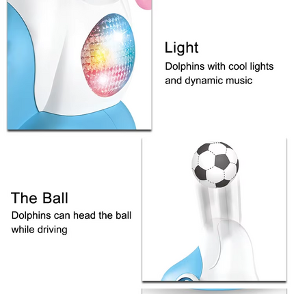 Dolphin with Air Ball Toy