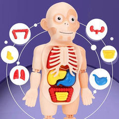 Collection image for: Educational Toys