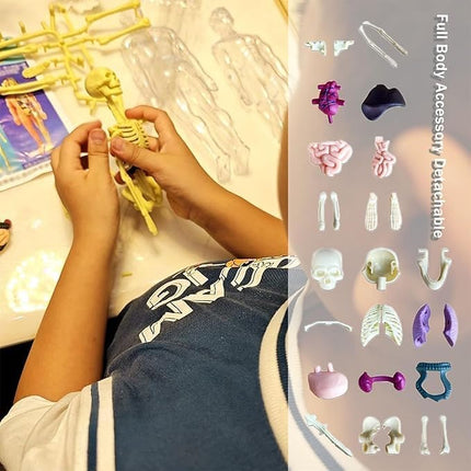 Human Body Educational Board Game – 29 Realistic Organs & Body Parts