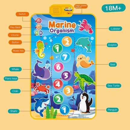 Magical Music Mat – Available in 4 Fun Themes 🎶